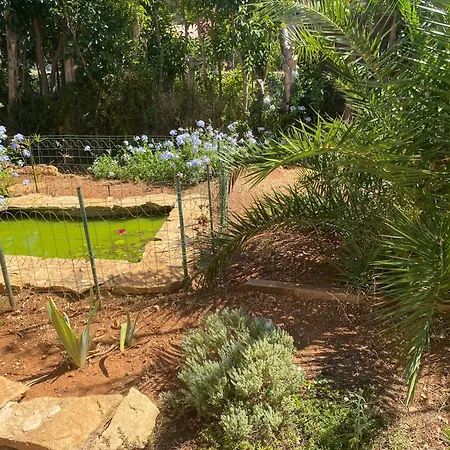 Apartment T3 Rdj 5 Mn A Pied-port 10 Mn-parking Bandol